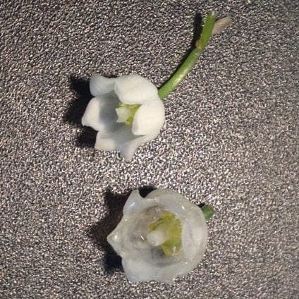 Clear Resin Floral Rosary Made Using YOUR Dried Flowers