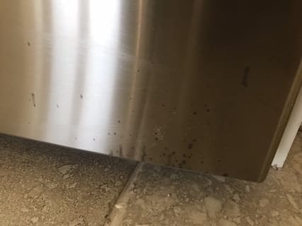 Grout cleaner stains on my stainless steel fridge!