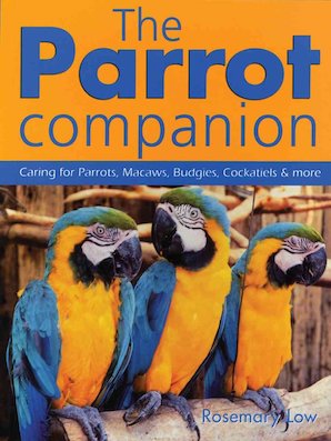 bird_parrot_care