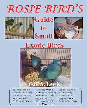 birds_small_care
