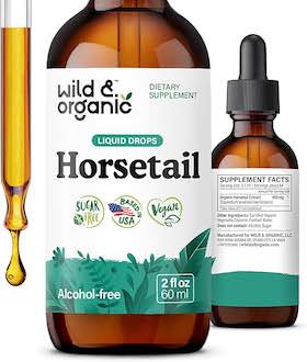 herb_horsetail