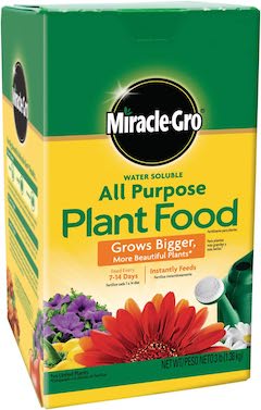 miracle-gro_violets