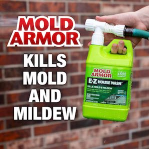 mold_killer_spray